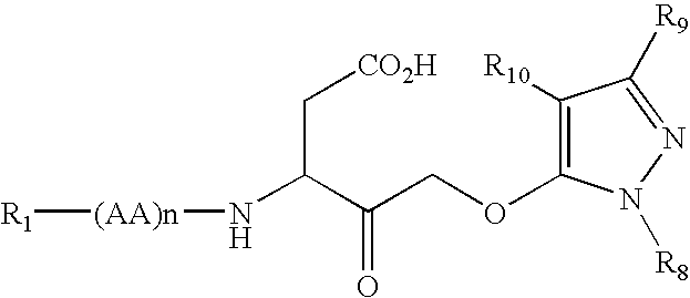 Dipeptide apoptosis inhibitors and the use thereof