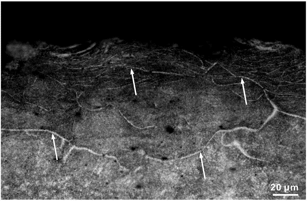 Observation method for internal shear band of AZ31 magnesium alloy