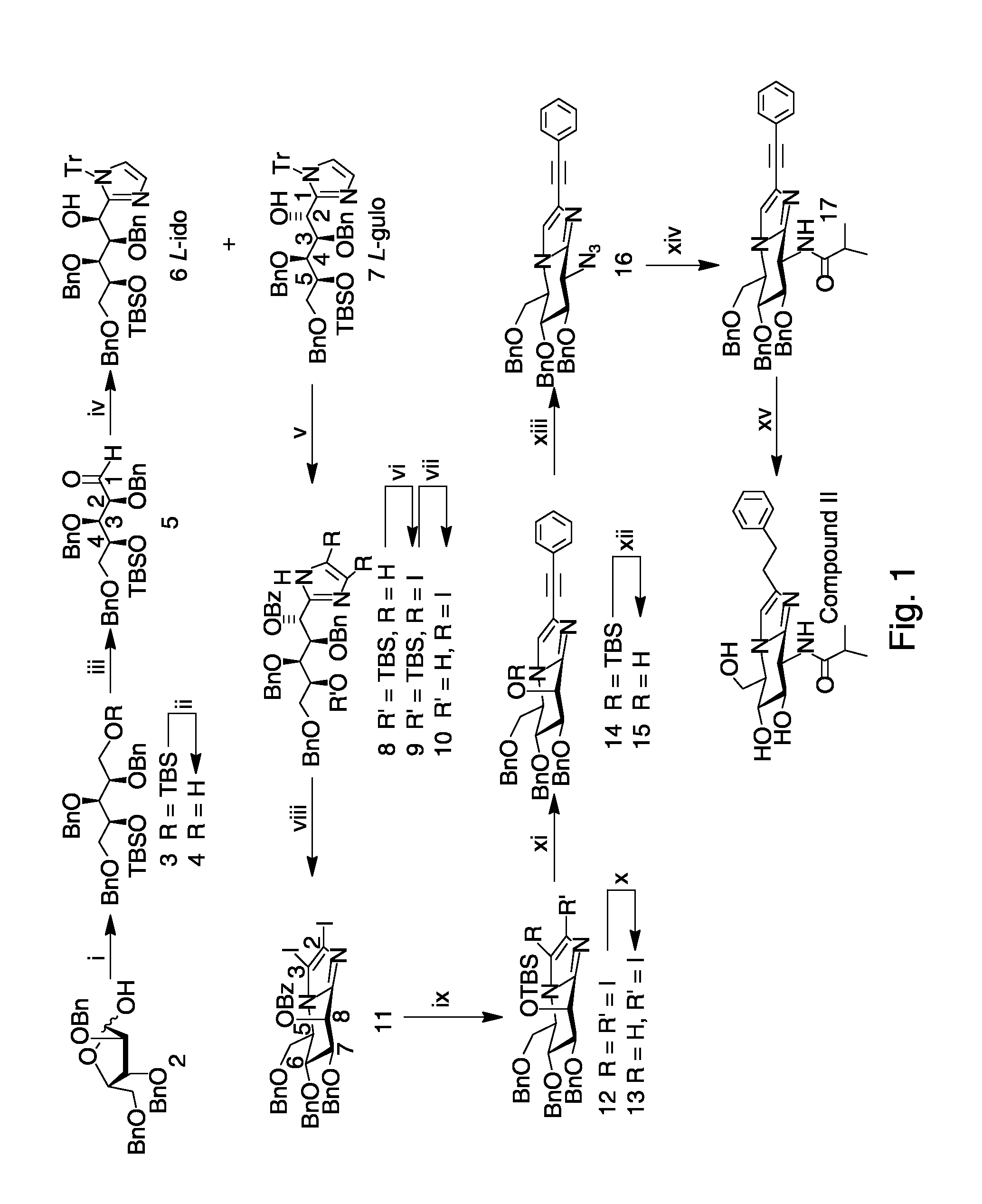 Selective glycosidase inhibitors