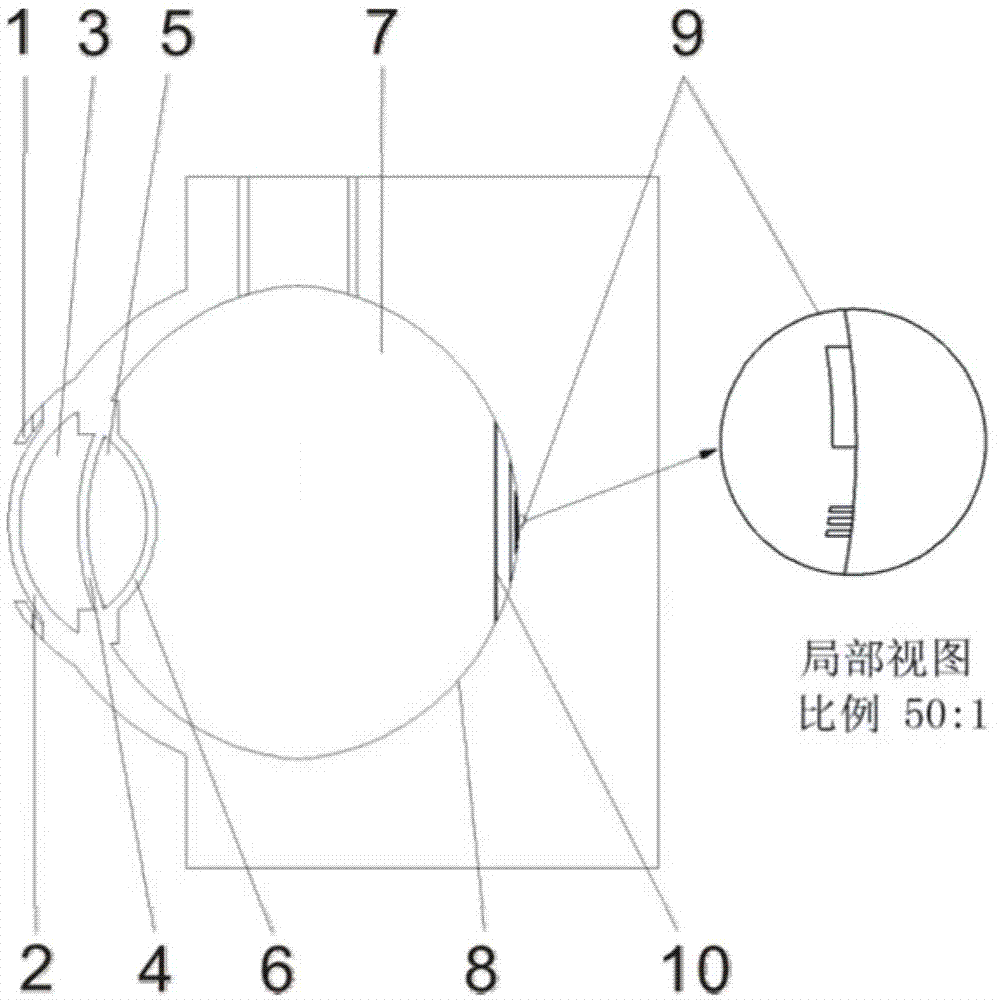 Human eye test model for evaluating three-dimensional imaging performance of OCT equipment of ophthalmology department and use method thereof