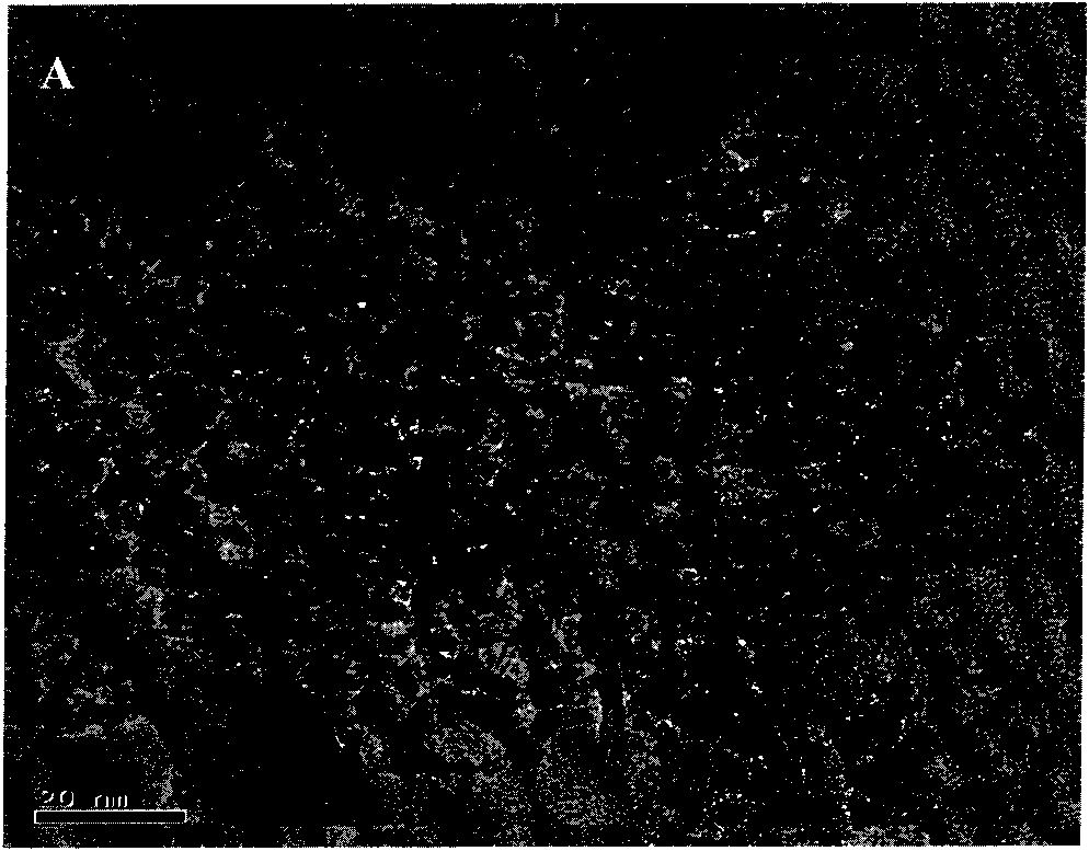 Method for preparing nano aluminum oxide through vacuum freeze drying technology