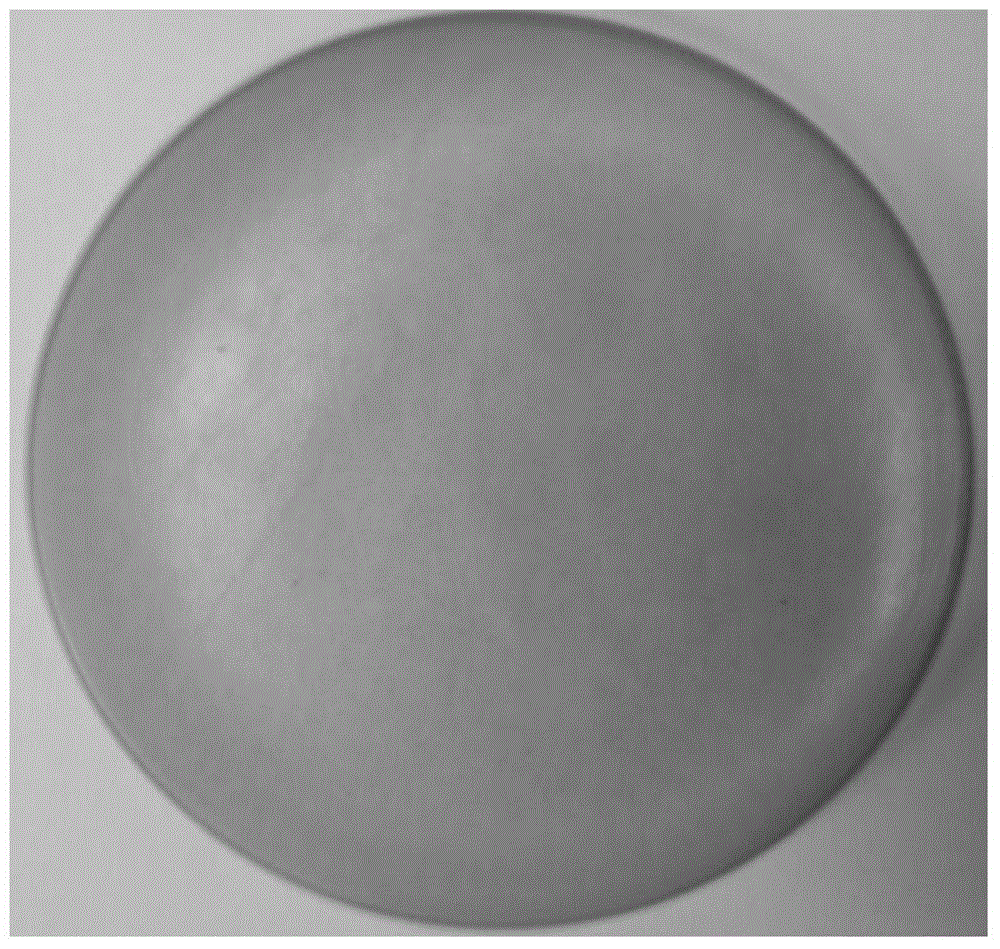 Preparation method of cellulose nanometer crystal with functionalized alkynyl on surface