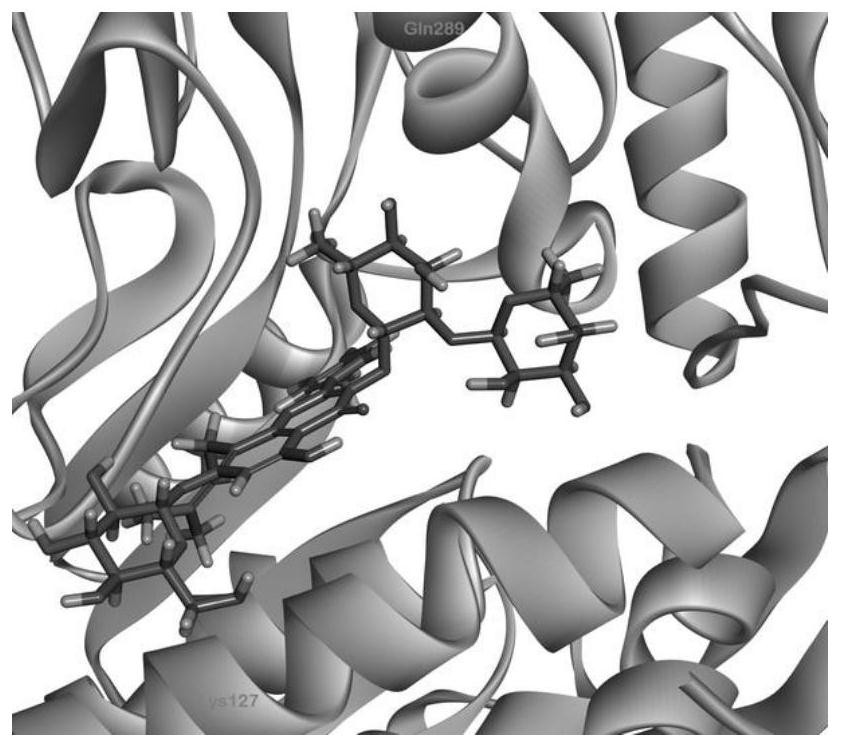 Application of epimedin C in prevention and treatment of acute alcoholism