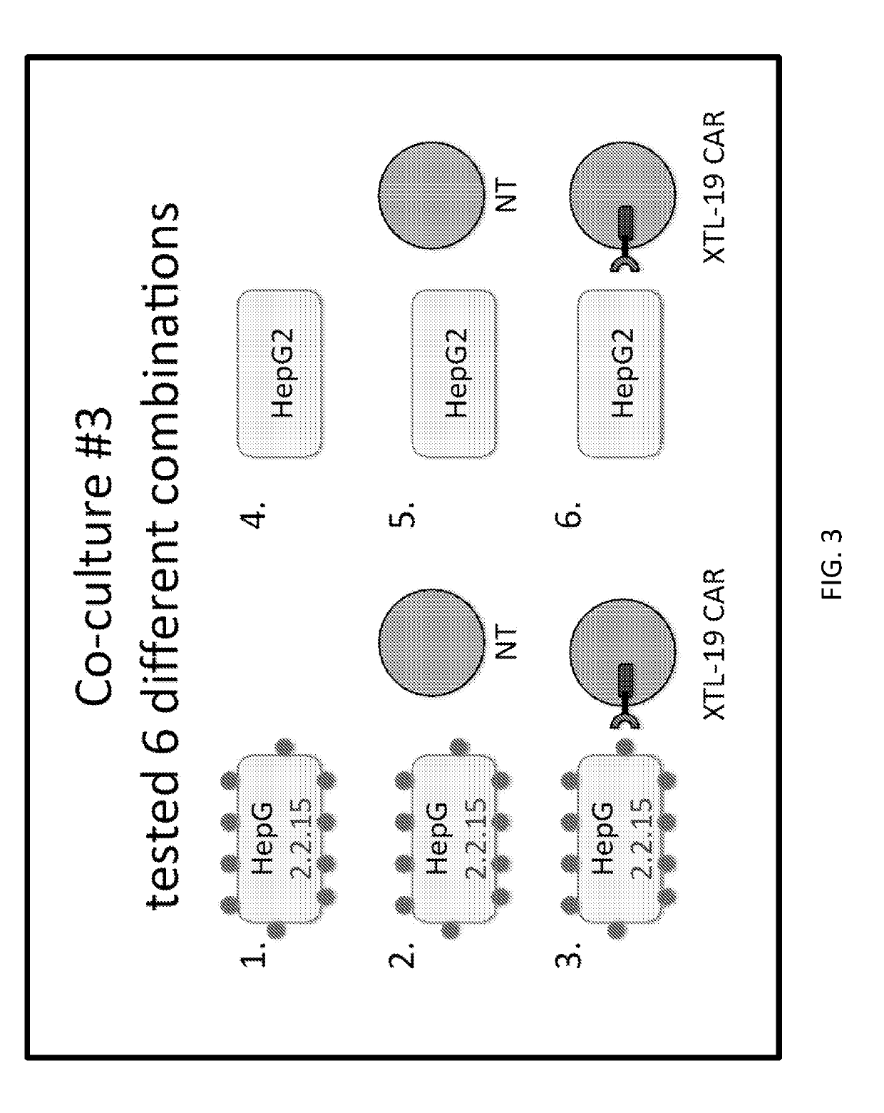 Chimeric antigen receptor therapy with reduced cytotoxicity for viral disease