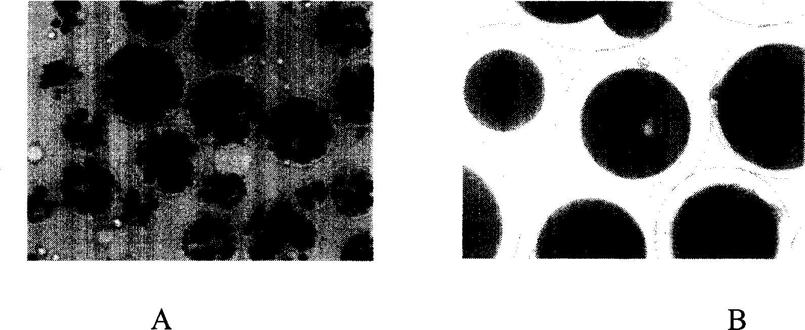 Method for preparing floating-biological adhesion synergistic microparticle