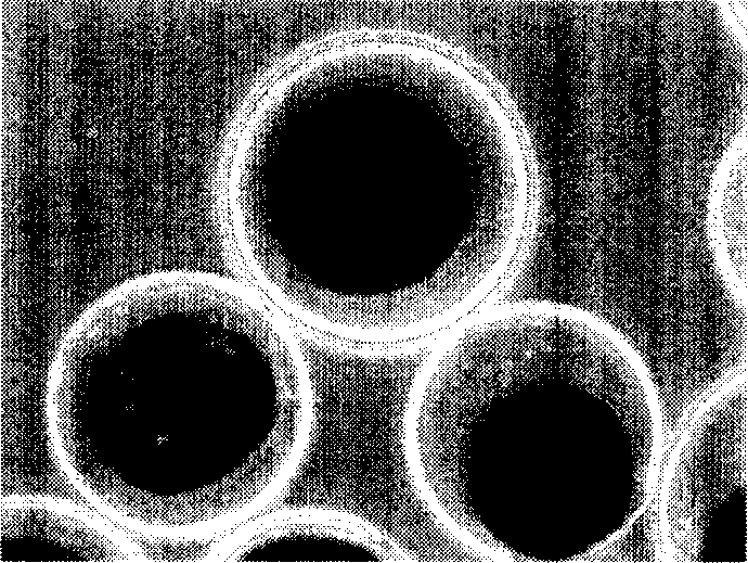 Method for preparing floating-biological adhesion synergistic microparticle