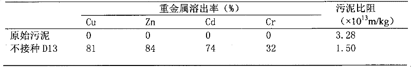 Acid resistant heterotrophic bacterium D13 applied in bioleaching of municipal sludge