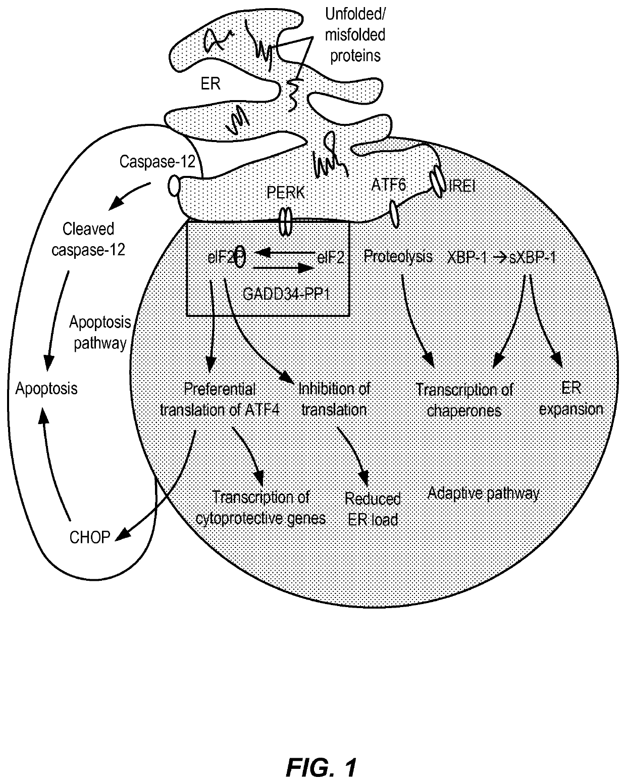 Treatment of demyelinating disorders