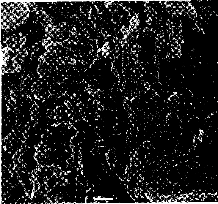 Method for preparing supported nano TiO2 composite photocatalysis material by microwave