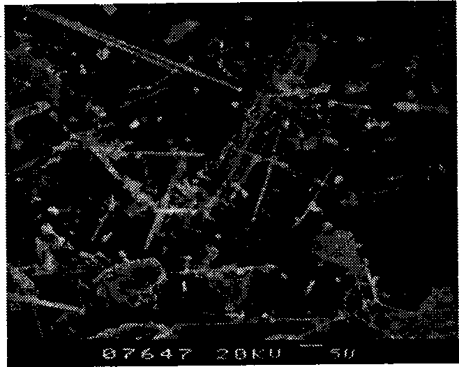 Method for preparing supported nano TiO2 composite photocatalysis material by microwave