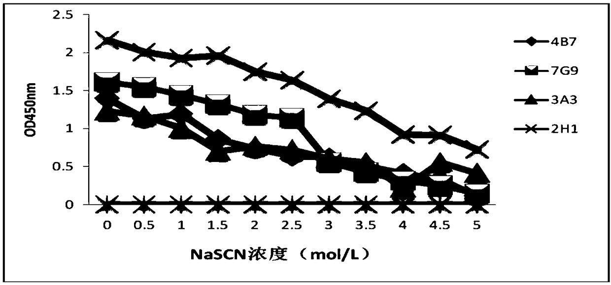 Hybridoma cell line secreting foot-and-mouth disease virus non-structural protein monoclonal antibody 2H1, and application thereof