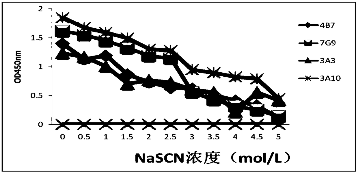 Hybridoma cell line secreting foot-and-mouth disease virus non-structural protein monoclonal antibody 2H1, and application thereof