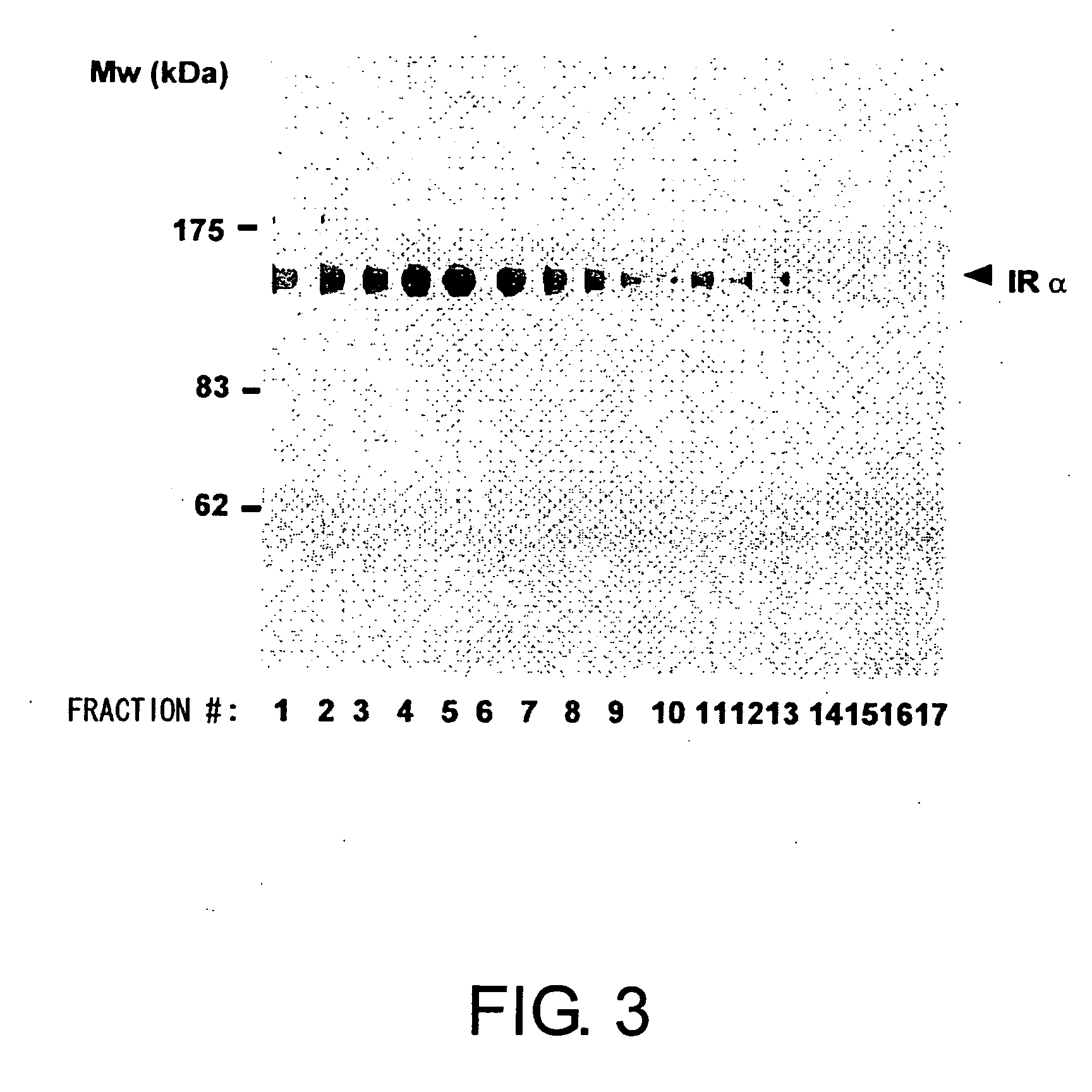 Methods for measuring the insulin receptor alpha subunit