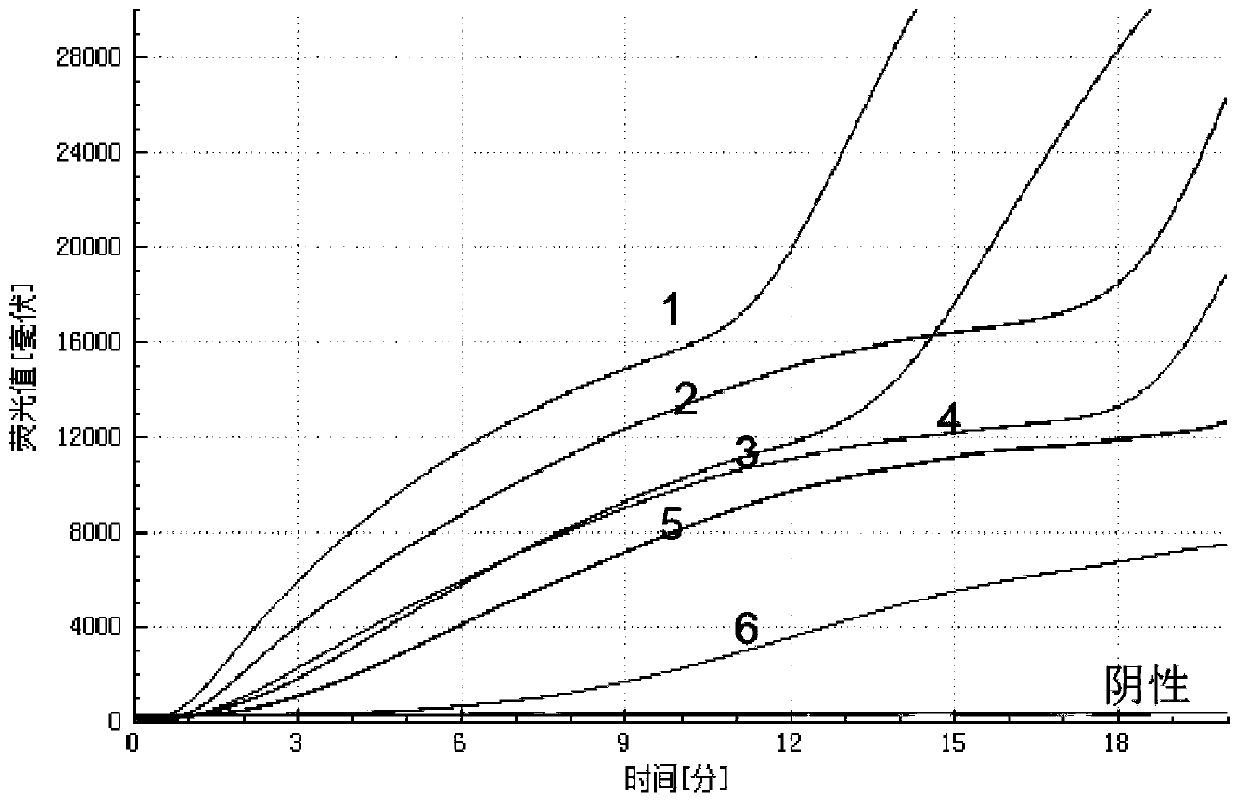 Amplification method of internal reference containing double isothermal nucleic acid for rapidly detecting type-7 adenovirus