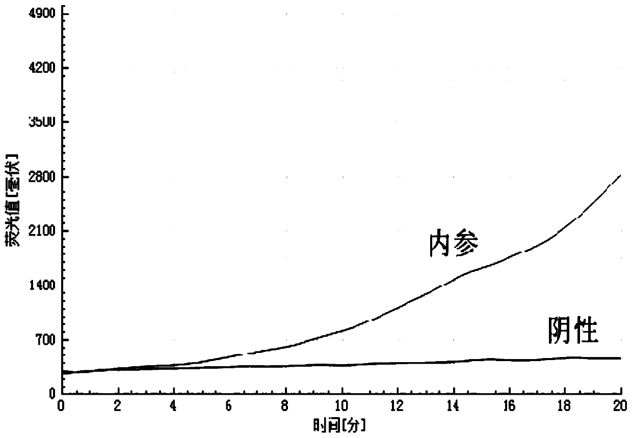 Amplification method of internal reference containing double isothermal nucleic acid for rapidly detecting type-7 adenovirus