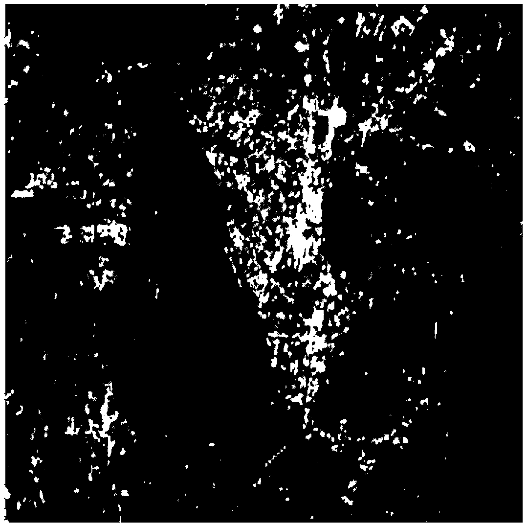 City Recognition Extraction Method Based on Clustering Algorithm for Full Polarimetric SAR Image