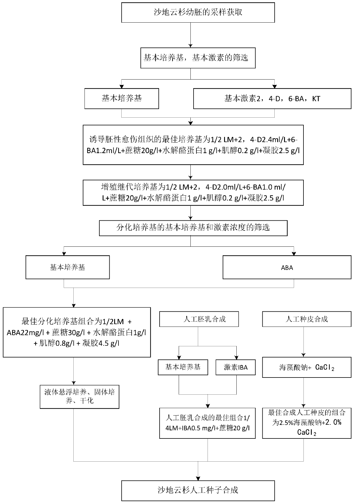 Synthetic method of artificial seeds of picea mongolica