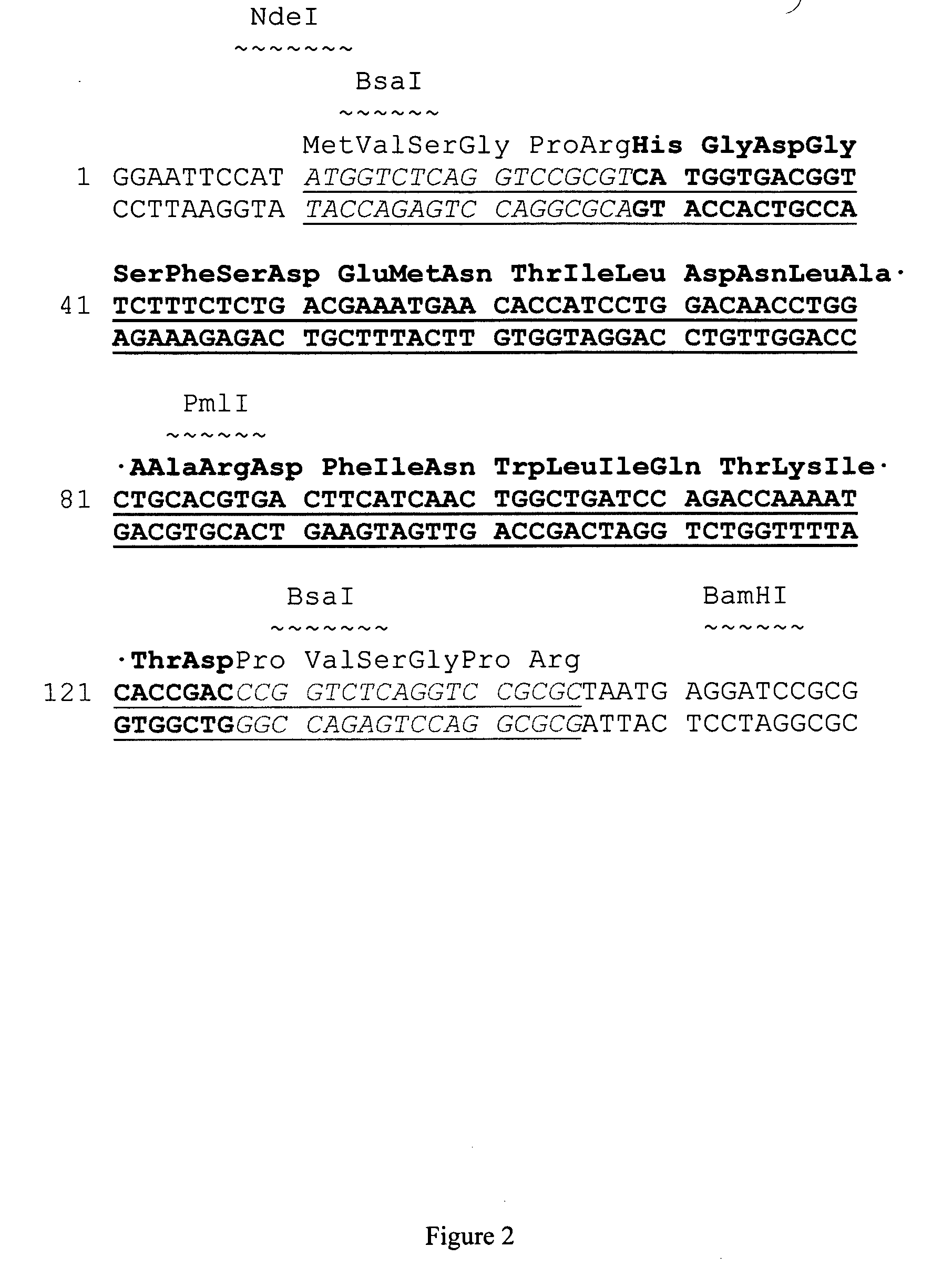 Production of glucagon like peptide 2 and analogs