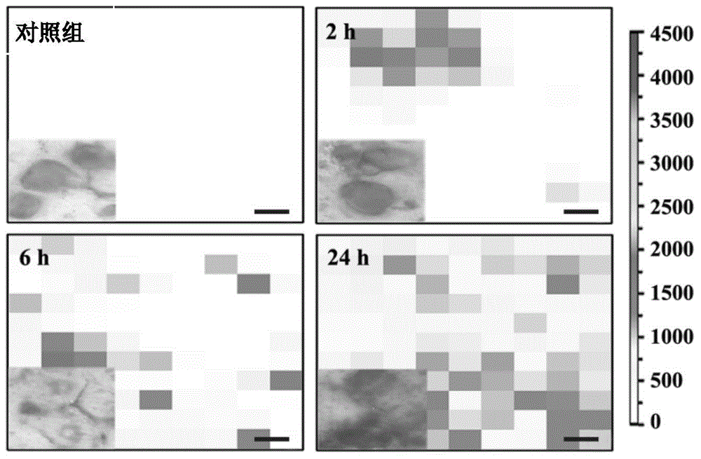 Hollow SiO2 wrapped hollow Au cage nanometer bell and preparing method and application thereof