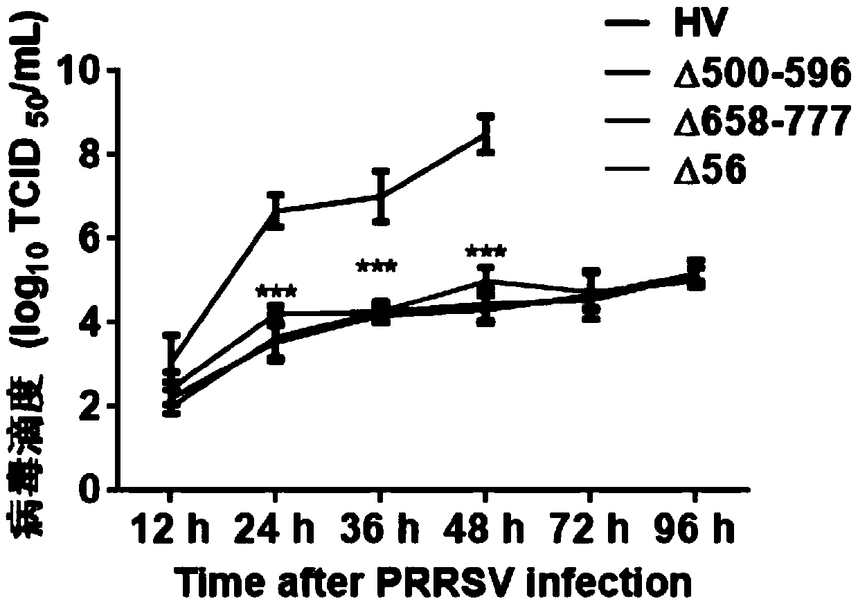 Recombinant PRRS virus HV-NSP2 (500-596) and application thereof