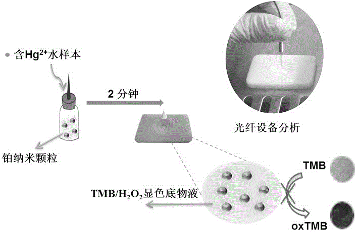 Paper chip colorimetric analysis system for mercury ion detection and construction method and application thereof