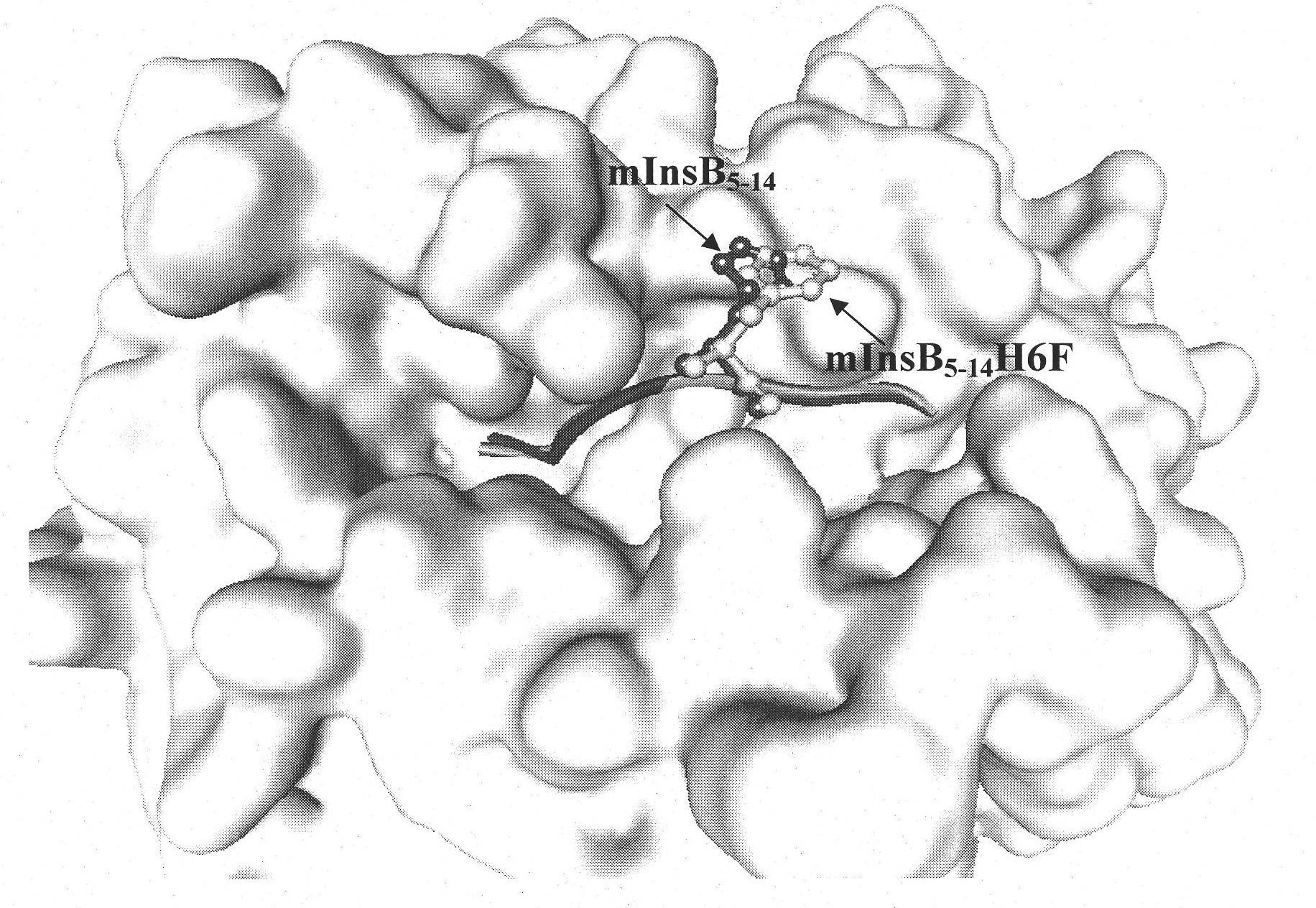 Insulin B chain HLA-A*0201 restrictive CTL epitope modified peptide ligand and acquisition method and application thereof