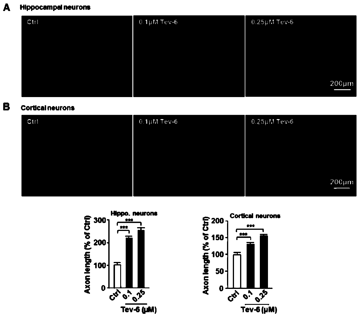 Application of p53 activating agent in preparation of drugs for treating nerve injuries