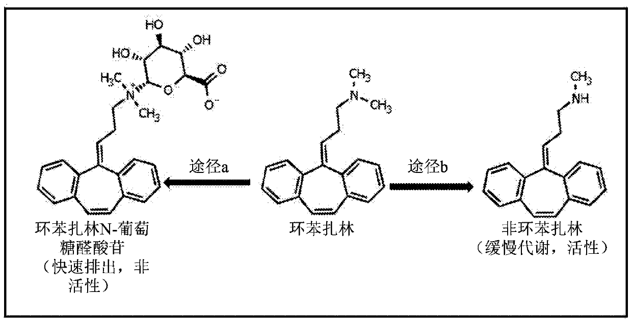 Analogs of cyclobenzaprine and amitryptilene