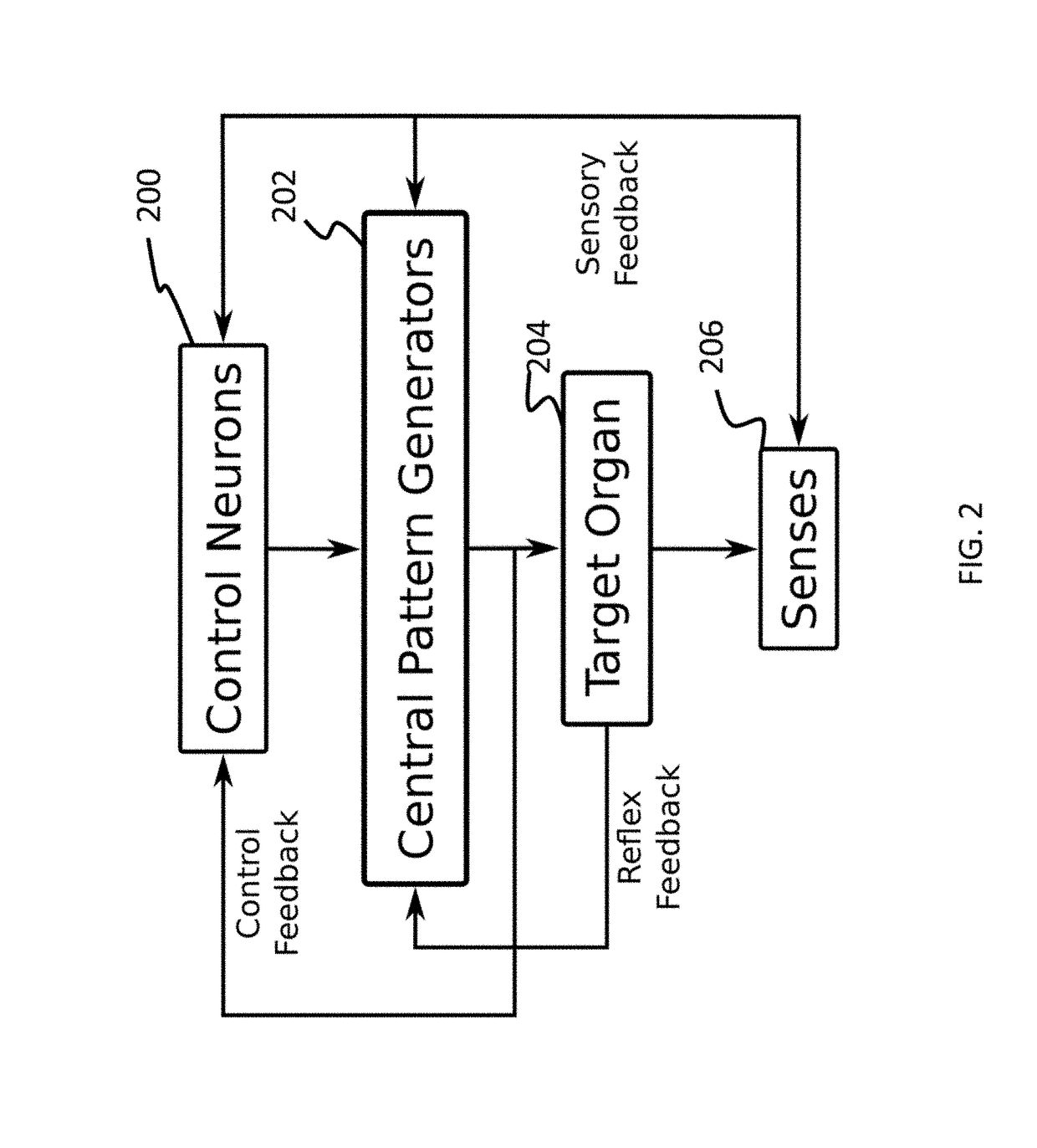 System and method for model-based estimation and control of epidural spinal cord stimulation