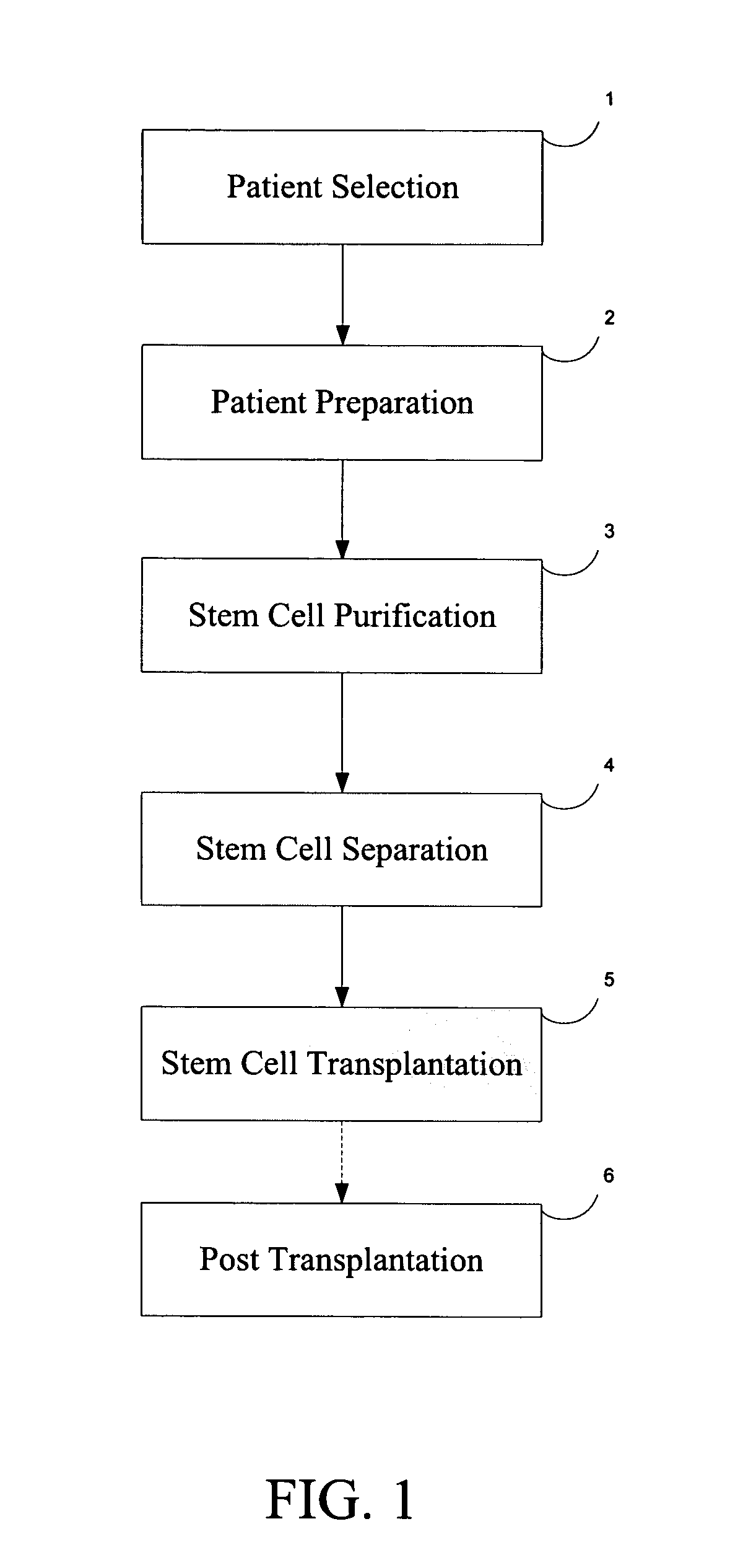 Procedure to regenerate articular cartilage in human advanced osteoarthritis using autologous hematopoetic stem cell transplantation