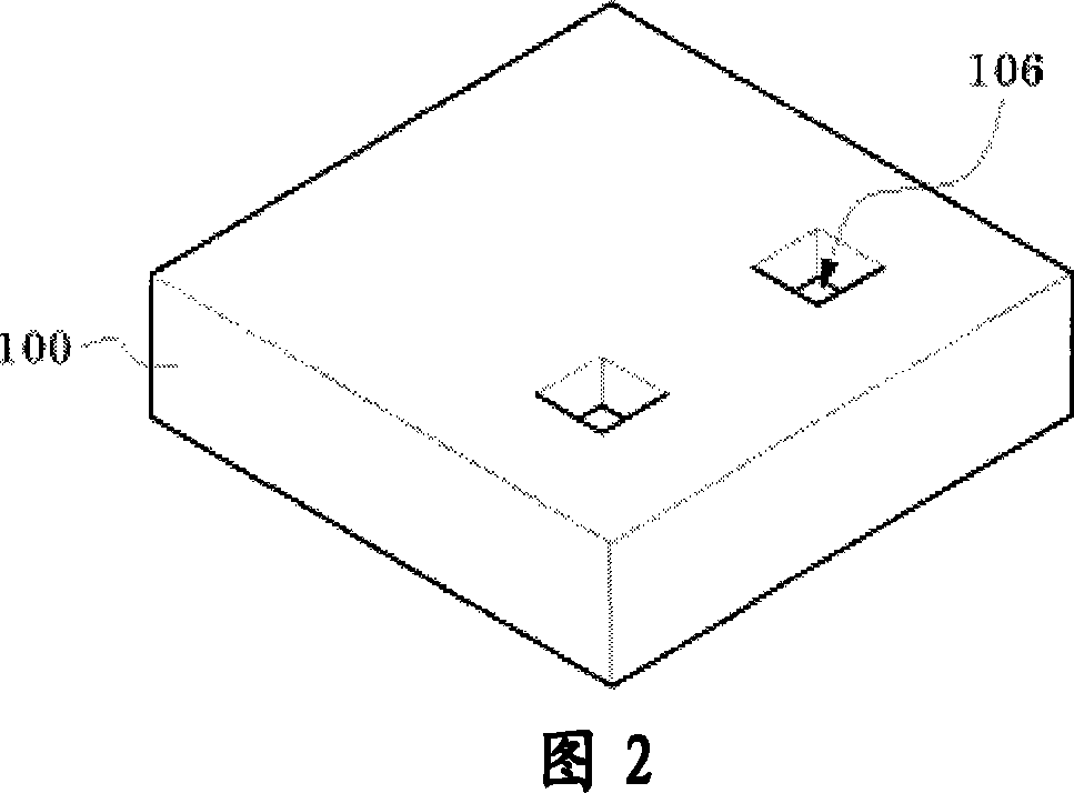 Detection device for panel display test and its production method