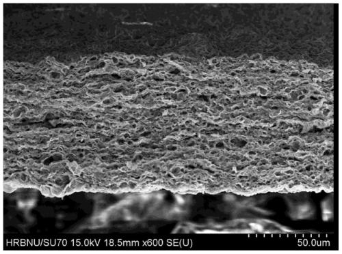 Preparation method and application of a three-dimensional multi-size pore crystal titanium carbide