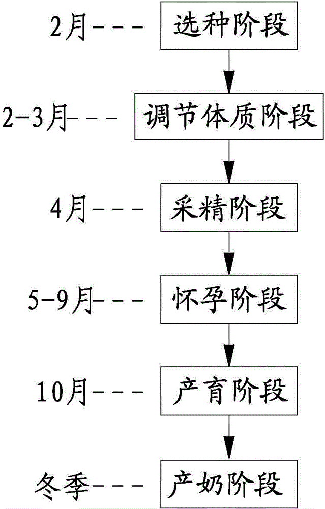 A breeding technique method and feed formula for improving milk production capacity of dairy goats in winter