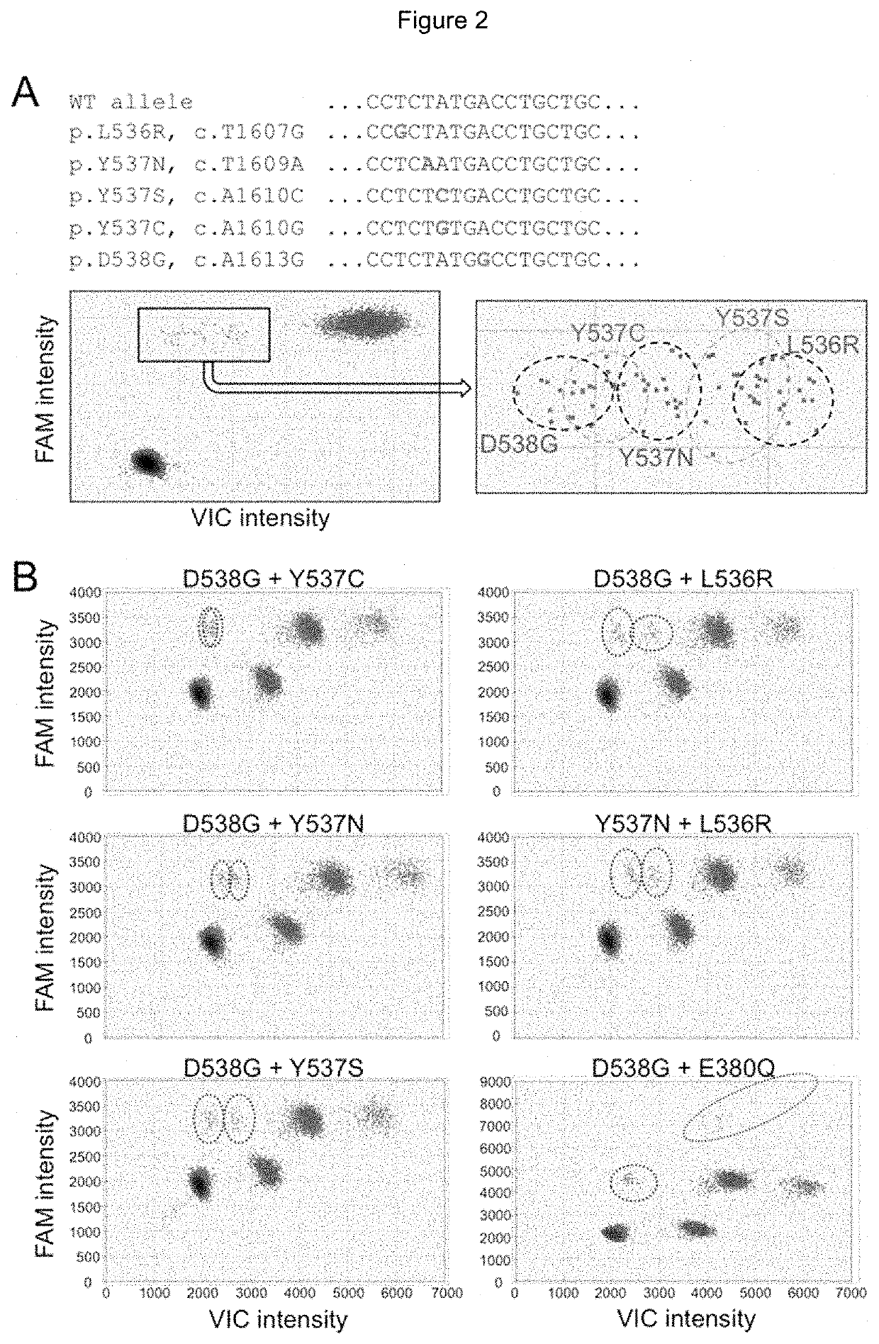 Method for Identifying One or More Mutations in a Hotspot Mutation Sequence