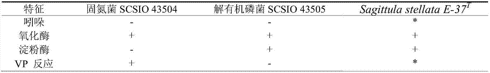 Marine microbial agent and preparation method thereof