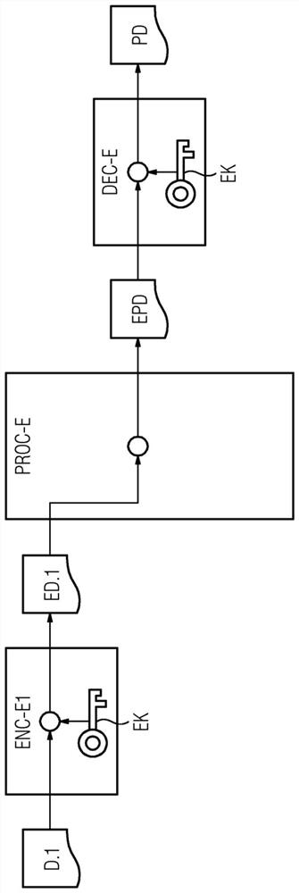 Anonymized generating and proving of processed data