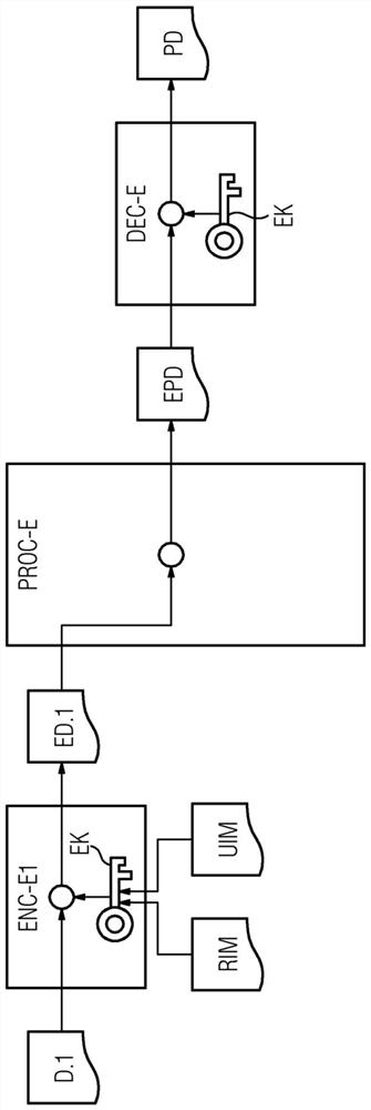 Anonymized generating and proving of processed data