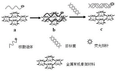 Method for detecting food-borne pathogenic bacteria on basis of metal organic framework material and aptamer fluorescence sensor