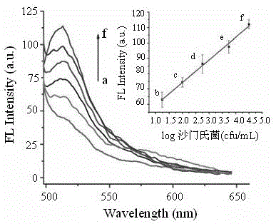 Method for detecting food-borne pathogenic bacteria on basis of metal organic framework material and aptamer fluorescence sensor