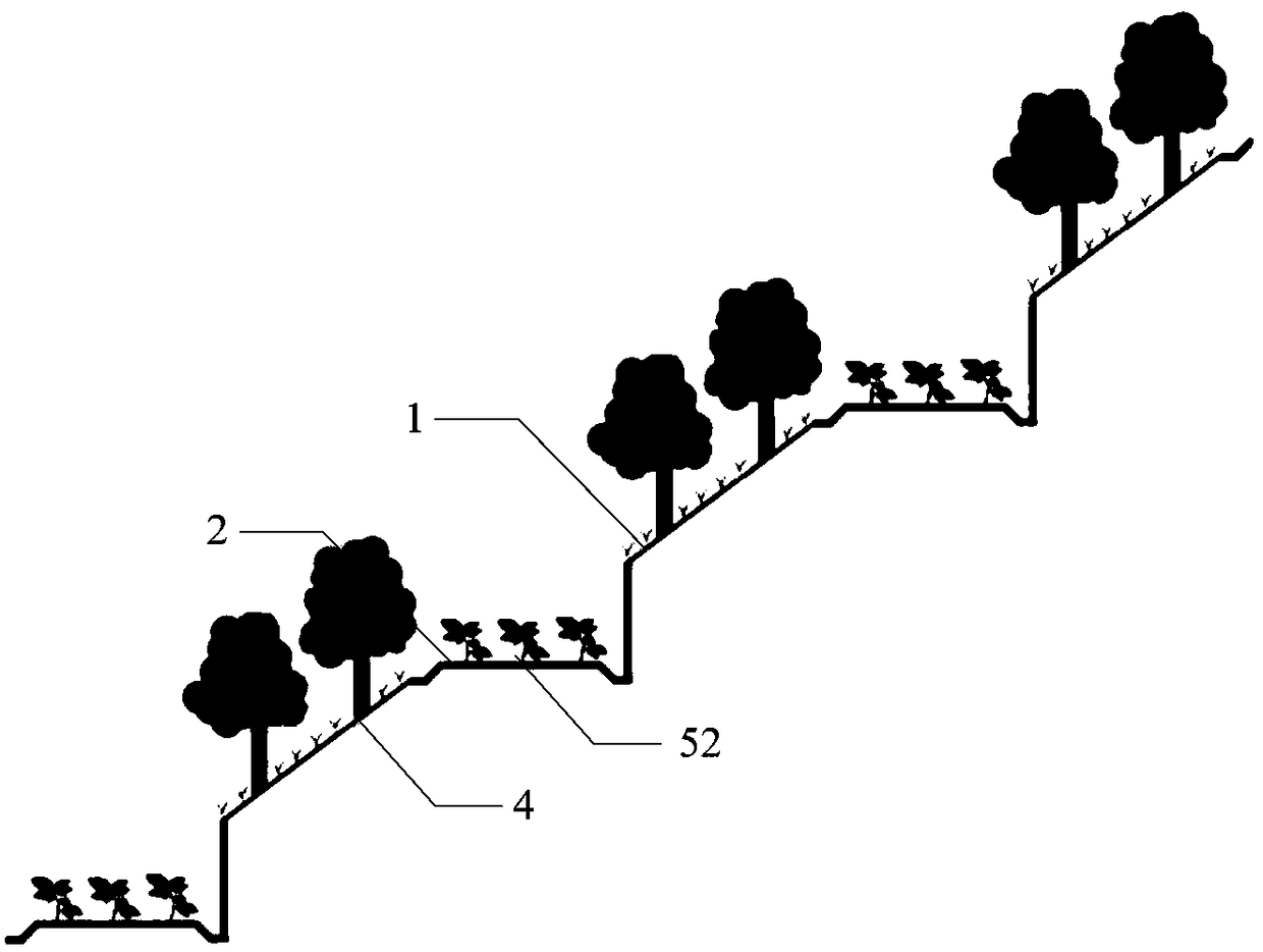 Forest-medicinal material-ecological environment three-dimensional planting method