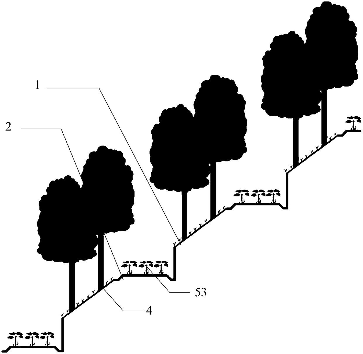 Forest-medicinal material-ecological environment three-dimensional planting method