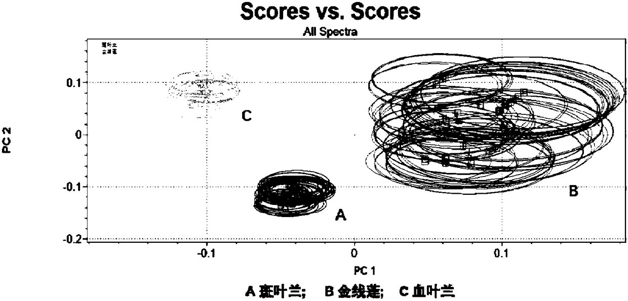 Identification method of anoectohilus formosanus and adulterants thereof