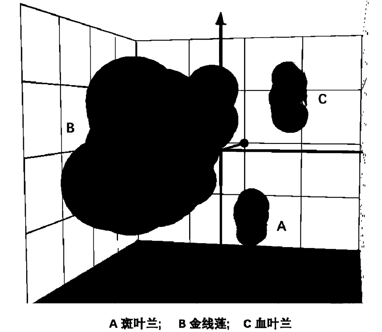 Identification method of anoectohilus formosanus and adulterants thereof