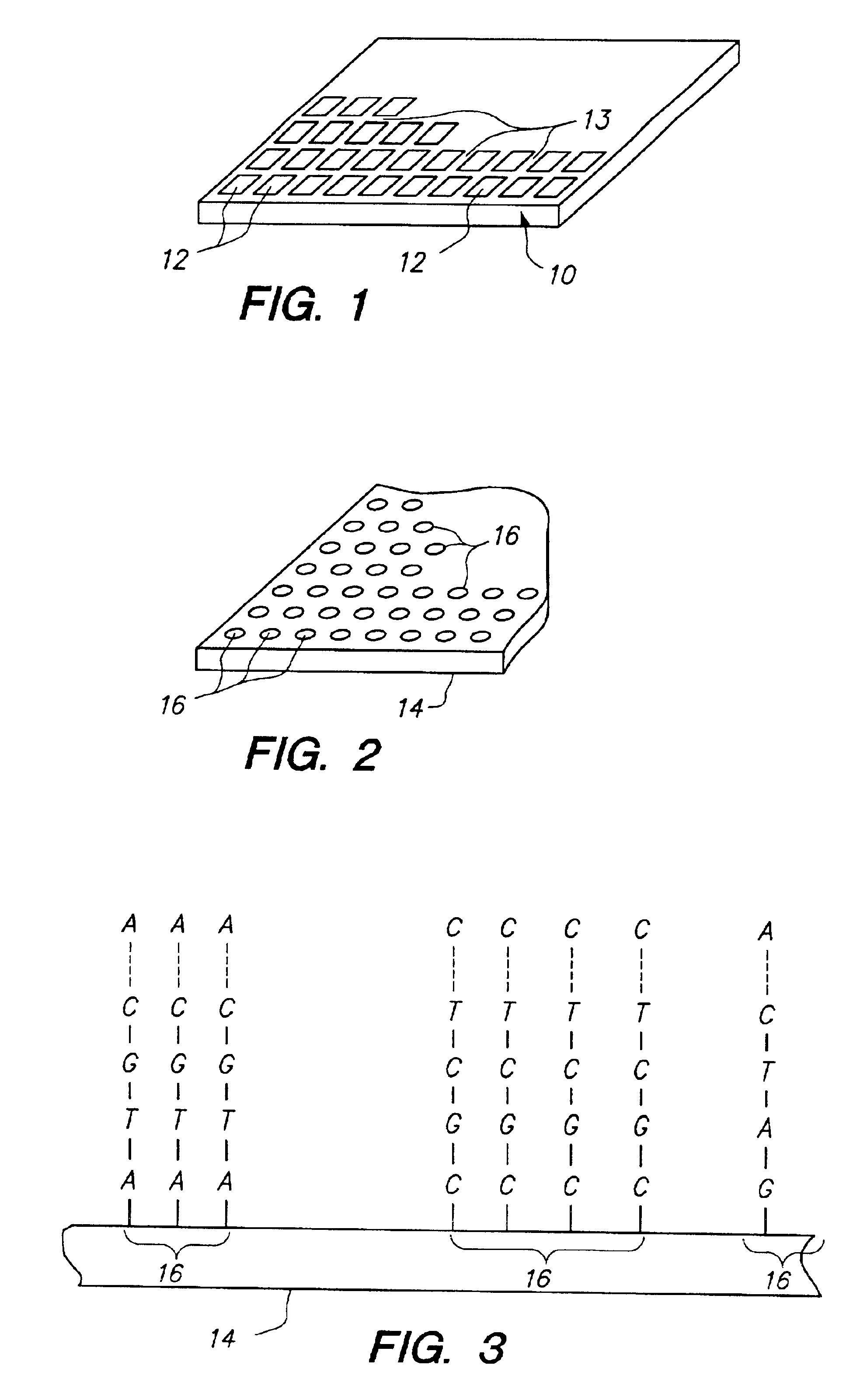 Fabricating biopolymer arrays