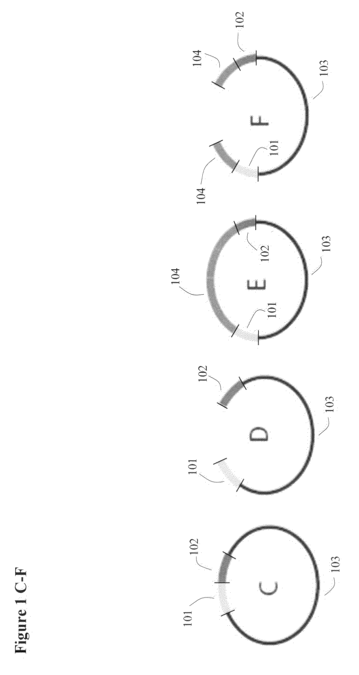 Paired end sequencing