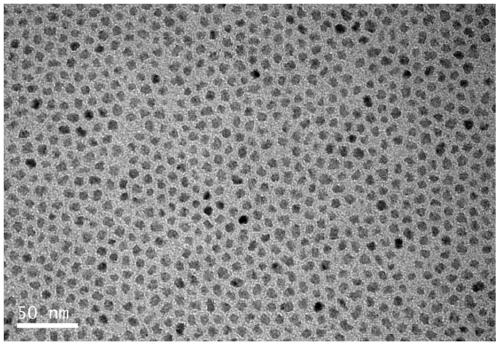 InP quantum dot and preparation method thereof