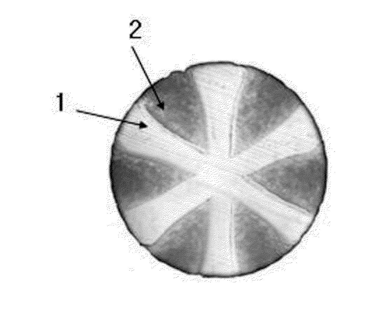 MONOFILAMENT, SURGICAL MESH HAVING IMPROVED FLEXIBILITY AND BlOCOMPATlBILlTY, AND PROCESS FOR PREPARING THE SAME