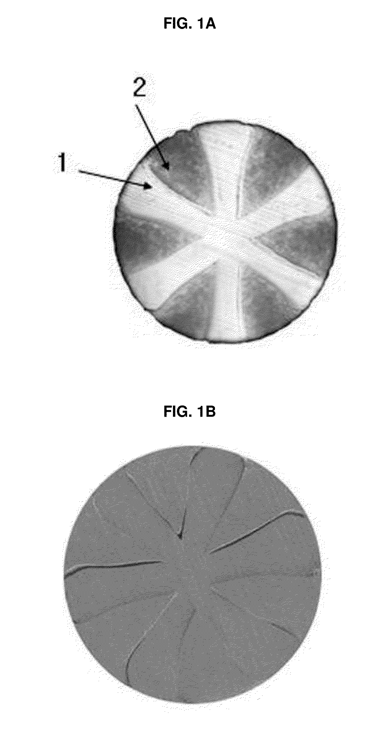 MONOFILAMENT, SURGICAL MESH HAVING IMPROVED FLEXIBILITY AND BlOCOMPATlBILlTY, AND PROCESS FOR PREPARING THE SAME