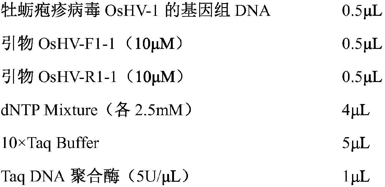 A high-sensitivity oshv-1 real-time fluorescence quantitative PCR detection kit and method