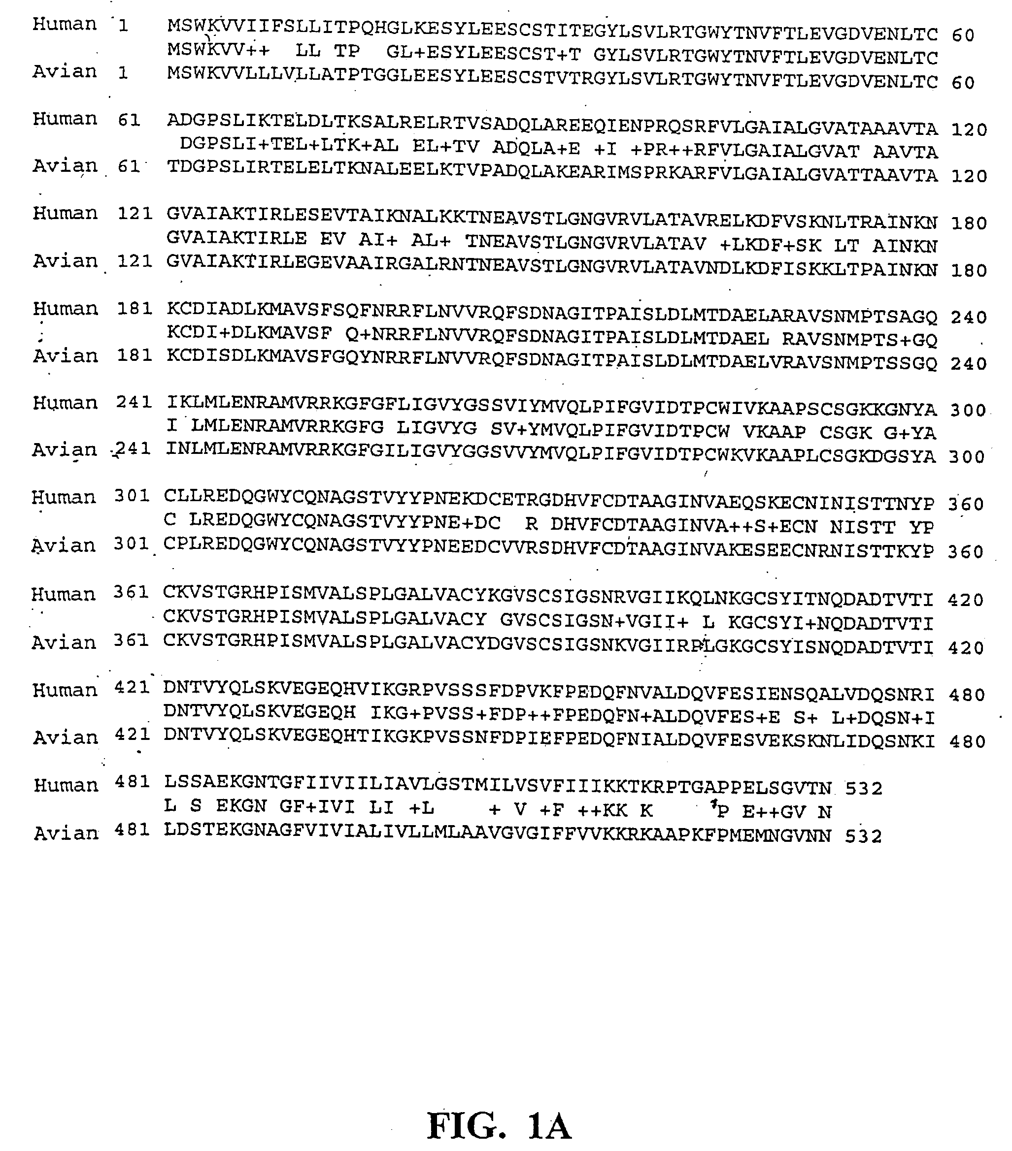 Recombinant parainfluenza virus expression systems and vaccines comprising heterologous antigens derived from metapneumovirus